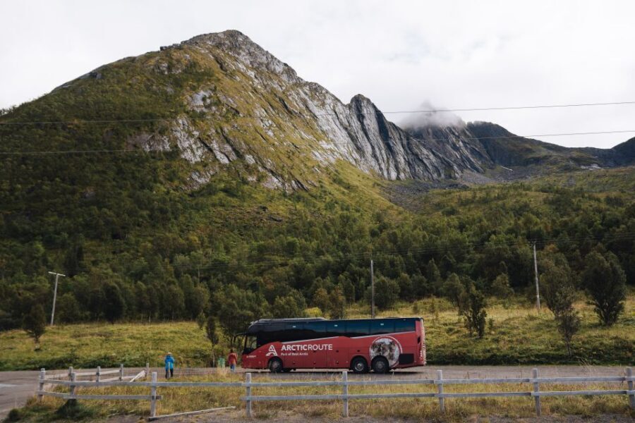 From Tromsø: Self-Guided Fjord Tour to Senja and Local Lunch - Meeting in Tromsø: where to start and how the day moves