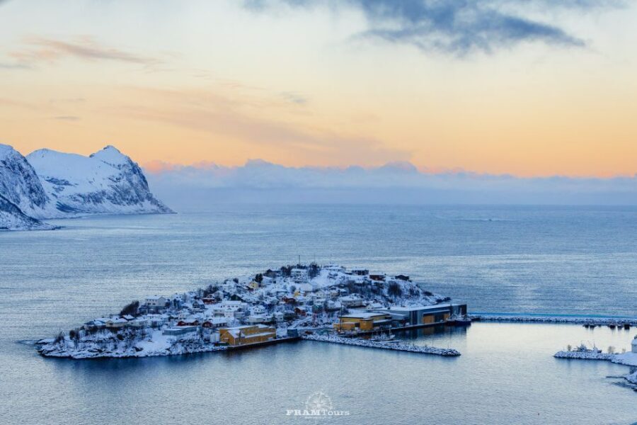 From Tromsø: Senja and Kvaløya Arctic Day Trip with Lunch - Key highlights worth planning for