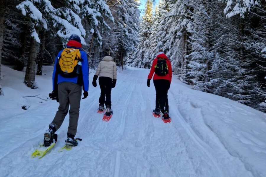 From Tromsø: Snowshoe Hike in the Arctic - Where it starts: Clarion Hotel The Edge and a quick ride into the Arctic