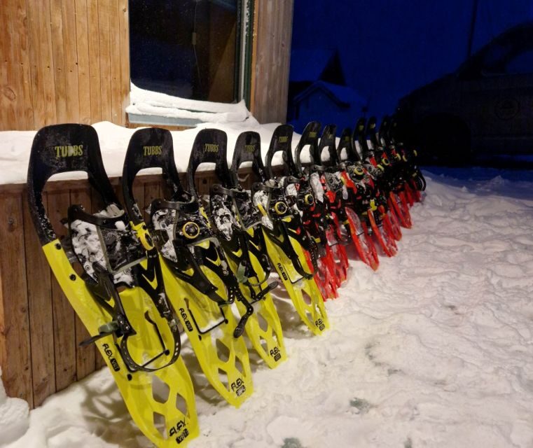 From Tromsø: Snowshoe Hike in the Arctic - The warm-up moments: hot drinks, snacks, and the fun downhill