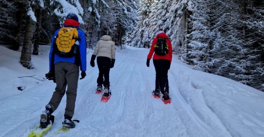 From Tromsø: Snowshoe Hike in the Arctic - The Ersfjordbotn snowshoe hike: how the 3 hours actually works