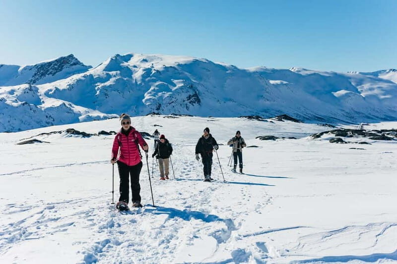From Tromsø: Snowshoeing Hike with Picnic Lunch and Photos - Key highlights