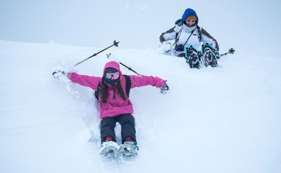 From Tromsø: Snowshoeing Hike with Picnic Lunch and Photos - Price and value: why $152 can pencil out in winter