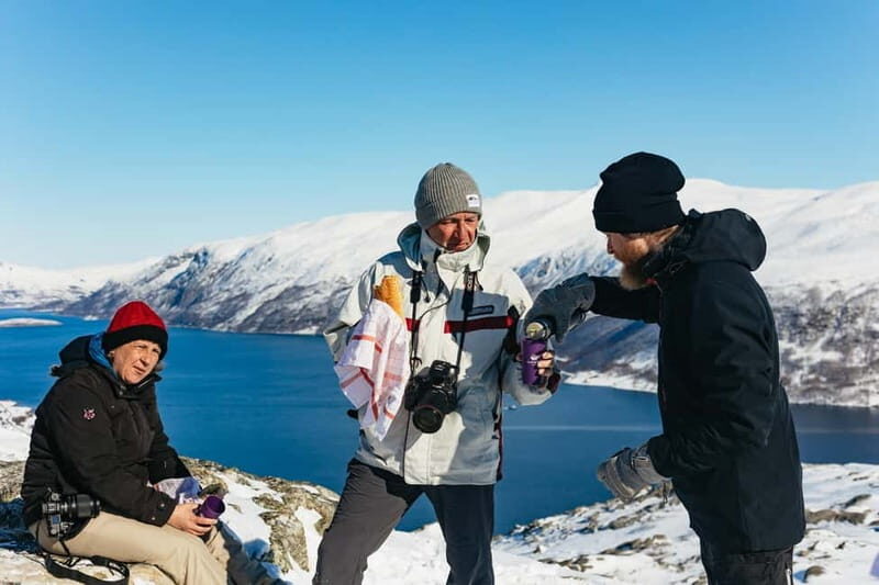 From Tromsø: Snowshoeing Hike with Picnic Lunch and Photos - Wildlife spotting tips in the Arctic (reindeer, eagles, ptarmigans, hares)