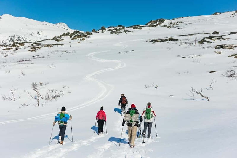 From Tromsø: Snowshoeing Hike with Picnic Lunch and Photos - What the lunch actually gives you: sandwiches, hot drinks, biscuits