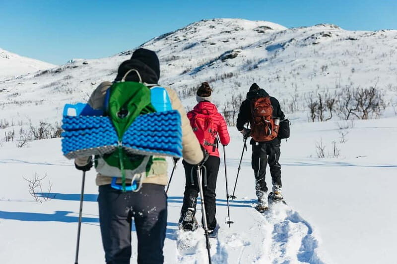From Tromsø: Snowshoeing Hike with Picnic Lunch and Photos - Your guide and group vibe: small teams and photo stops