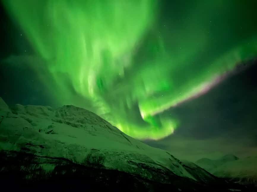 Full Night Magic of the Arctic Lights in Tromso - The weather-led route: coastal hunting and the 210 km option