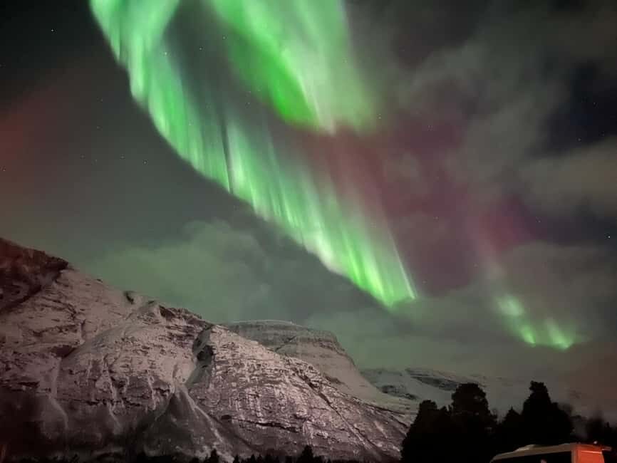 Full Night Magic of the Arctic Lights in Tromso - Who this tour suits best (and who should think twice)