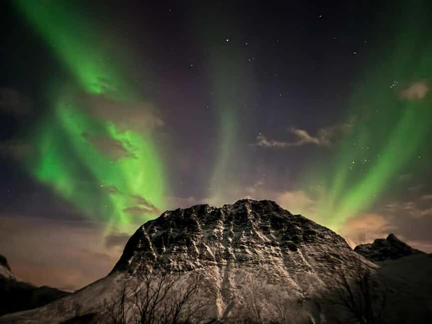 Full Night Magic of the Arctic Lights in Tromso - Price and value: is $186 per person worth it?