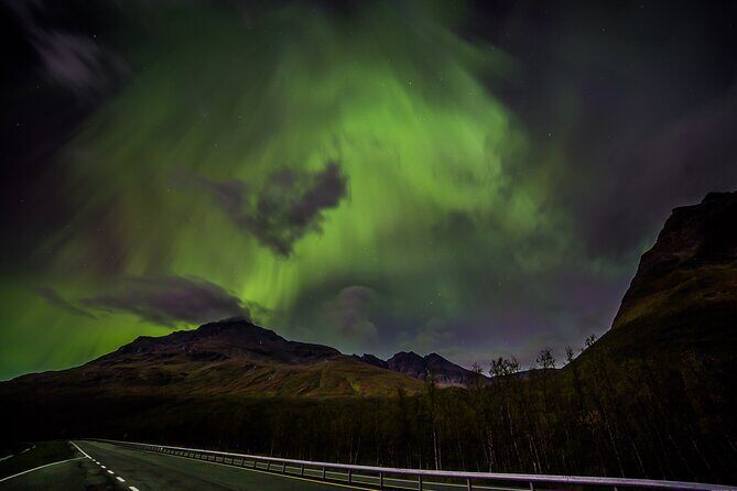 Full Night Magic of the Northern Lights in Tromso - How the Route Gets Chosen: Weather, Forecasts, and Long Drives