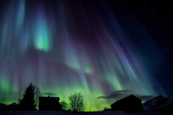 Full Night Magic of the Northern Lights in Tromso - Stop Strategy Around Tromsø: Landmarks, Photos, and Reindeer Moments