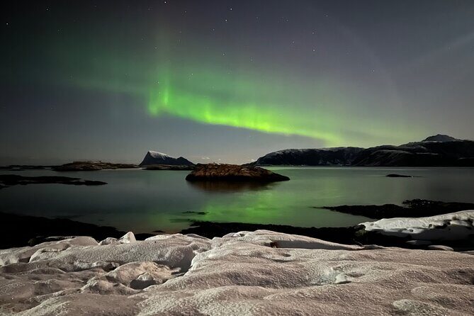 Full Night Magic of the Northern Lights in Tromso - When Conditions Are Nice: Bonfire, Warm Drinks, and Snacks