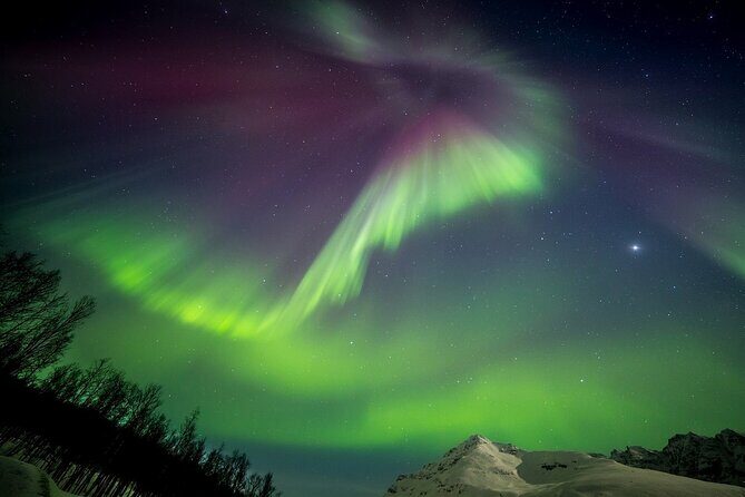Full Night Magic of the Northern Lights in Tromso - Price and Value: Why $180.94 Can Be Fair