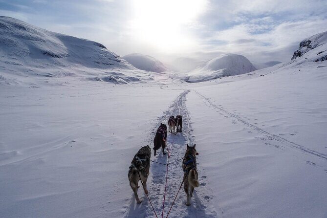 Fun & Easy Dog Sledding Adventure from Tromsø - Early Bird Tour - The bus transfer to the husky farm: 45 minutes with a view