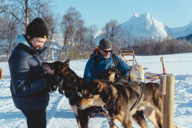 Fun & Easy Dog Sledding Adventure from Tromsø - Early Bird Tour - Self-drive dog sledding: what two per sled really means