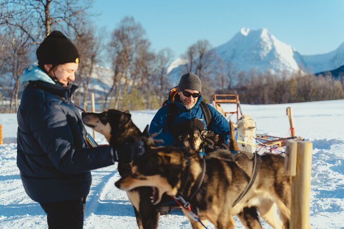 Fun & Easy Dog Sledding Adventure from Tromsø - Noon Tour - What the Ride Feels Like on Snow (So You Don’t Get Surprised)
