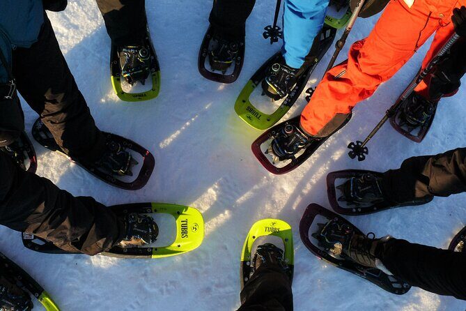 Guided easy snowshoeing with a visit to local café - The cozy café finale you’ll remember