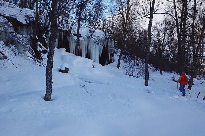 Guided easy snowshoeing with a visit to local café - Why Tromsø’s polar night feels better with snowshoes