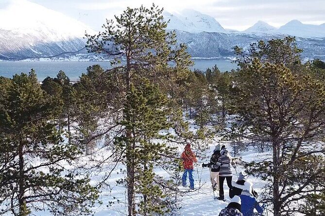 Guided easy snowshoeing with a visit to local café - The shore-side café at Tove’s Tradisjonsmat kafé: cake, fire, and fjord calm