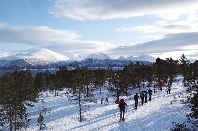 Guided easy snowshoeing with a visit to local café - Who this tour suits best (and who might want a different style)