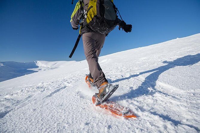 Guided Morning Snowshoe Hike with Huskies - Key Highlights You’ll Care About