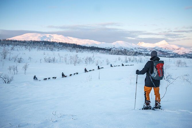 Guided Morning Snowshoe Hike with Huskies - Morning in Tromsø: Why This Snowshoe + Huskies Combo Works