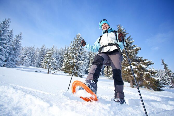 Guided Morning Snowshoe Hike with Huskies - Refuel Plan: Coffee, Cake, and Warming Around a Fire
