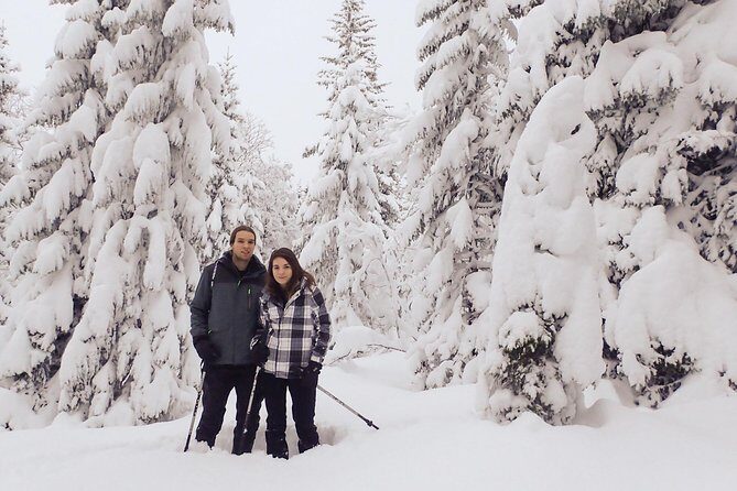 Guided Snowshoe Walk on Tromsoya Island in Tromso - Key things that make this Tromsøya Island snowshoe walk worth your time