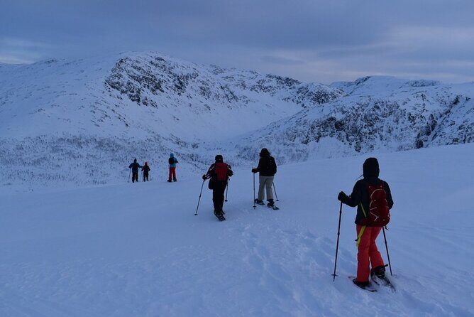 Guided Snowshoe Walk on Tromsoya Island in Tromso - Timing and logistics: how the 2.5 hours actually plays out