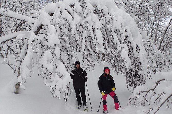 Guided Snowshoe Walk on Tromsoya Island in Tromso - Price: is $118.77 good value for a guided snowshoe walk?
