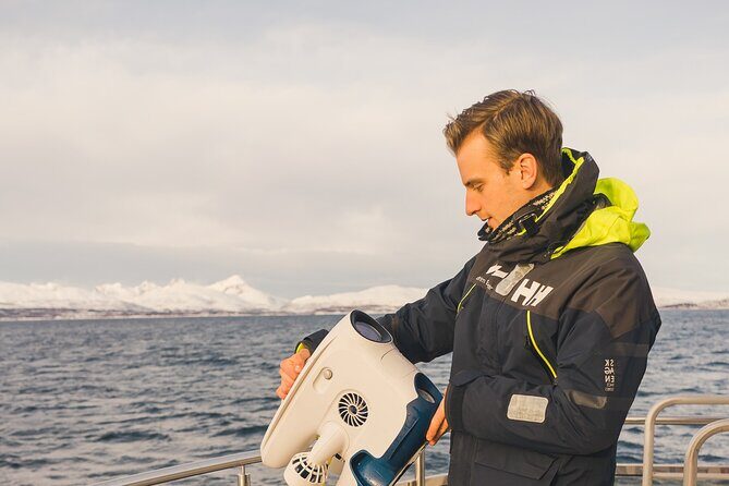 Half Day Arctic Fjord Cruise from Tromso - Key points that make this cruise worth your time