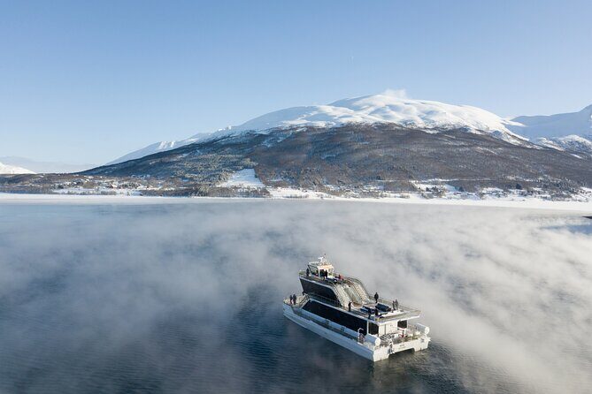 Half Day Arctic Fjord Cruise from Tromso - Ramfjorden stop: photo chances plus Arctic-fjord wildlife energy