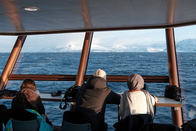 Half Day Arctic Fjord Cruise from Tromso - Value check: is $128.31 a fair price for a half-day?