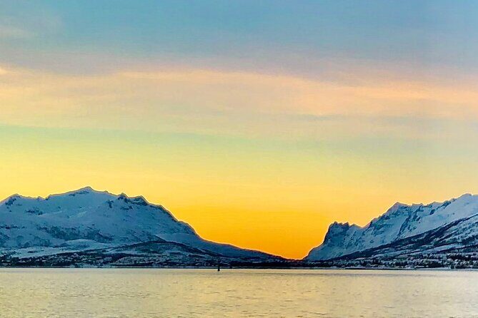 Half-Day Scenic Wildlife & Photographic Fjord Tour. - Price and value: is $193.31 worth 4 to 5 hours?