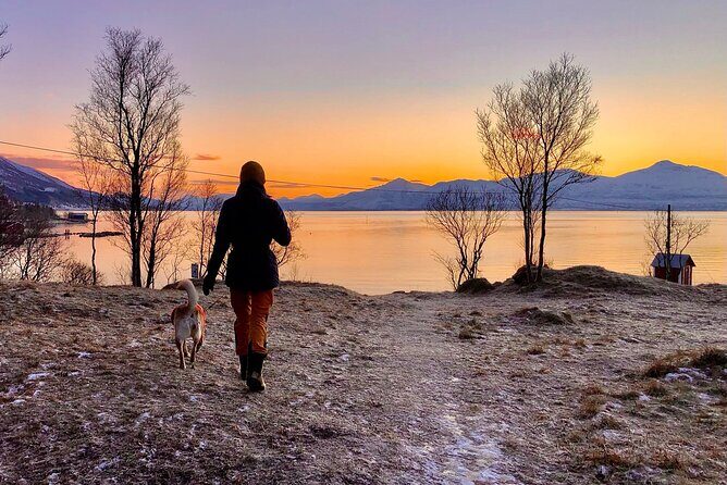 Half-Day Scenic Wildlife & Photographic Fjord Tour. - Who should book this Tromsø fjord wildlife photo tour