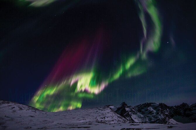 Marianne’s Heaven On Earth Aurora Chaser Tours - Chasing Around the Tromsø Fjords: Multiple Stops, Better Odds