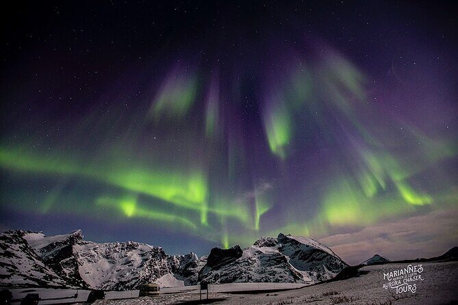 Marianne’s Heaven On Earth Aurora Chaser Tours - Small-Group Viewing: Crowds Don’t Rule Your Tripod