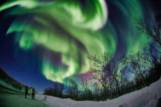 Minivan Northern Lights excursion (8 guests per minivan) - Photo coaching without intimidation: phone or camera, you’re covered