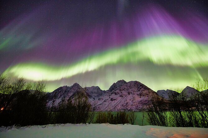 Minivan Northern Lights excursion (8 guests per minivan) - Warm overalls, boots, and hot drinks: staying human while you wait