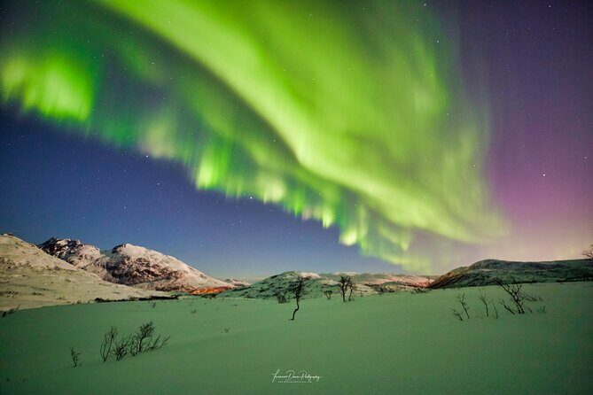 Minivan Northern Lights excursion (8 guests per minivan) - Guides make the difference: the human part of the chase