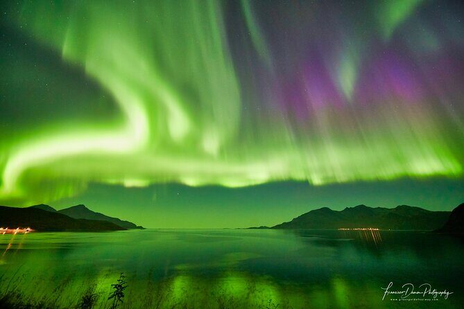 Minivan Northern Lights excursion (8 guests per minivan) - Price and value: is $204.51 per person fair for this kind of night?