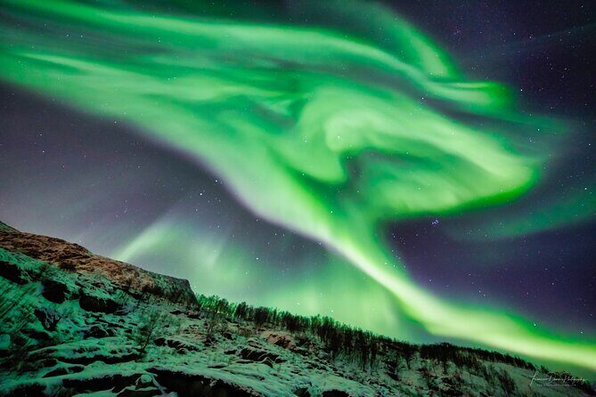 Minivan Northern Lights excursion (8 guests per minivan) - Should you book this Tromsø Northern Lights minivan chase?
