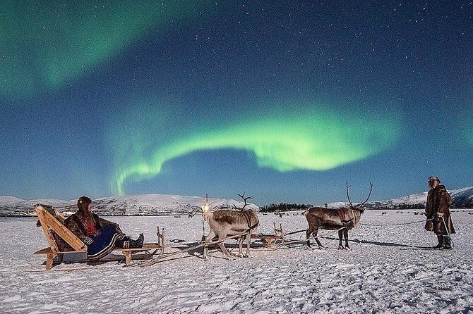 Night Reindeer Sledding with Camp Dinner and Chance of Northern Lights - Key reasons this evening camp works