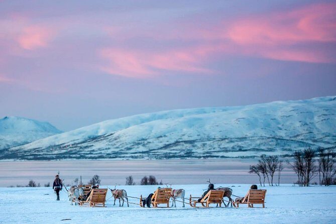 Night Reindeer Sledding with Camp Dinner and Chance of Northern Lights - Transportation from the bus terminal: easy start, full circle ending