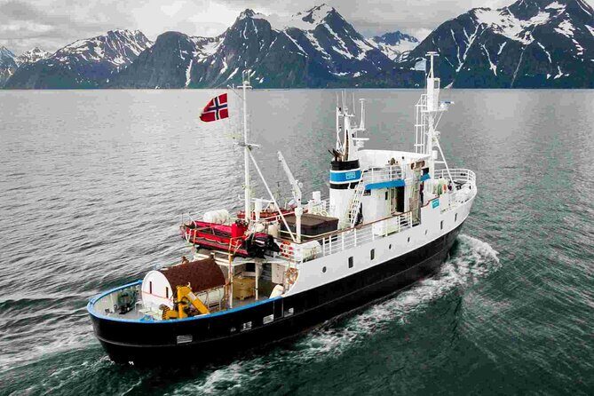 Northern Light cruise on the vintage vessel MS Strønstad - Sauna and jacuzzi at 8 pm: when comfort becomes the highlight