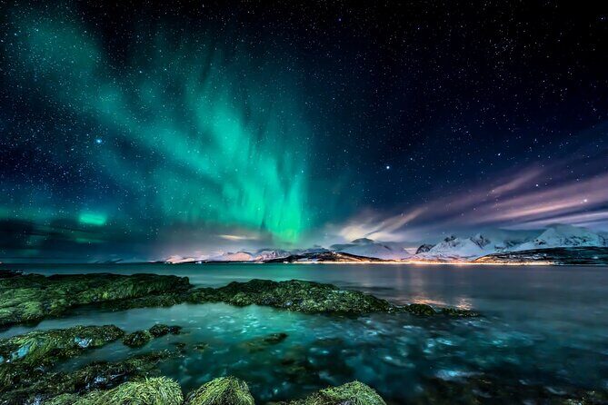 Northern light hunt in Tromsø. WiFi included - Key highlights that matter in the cold