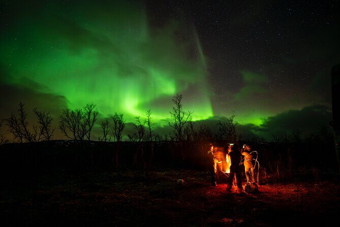 Northern light hunt in Tromsø. WiFi included - The real “itinerary”: driving, stopping, and why frequent viewing breaks matter