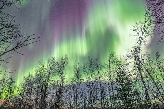 Northern Lights Adventure with Greenlander, 8 people max - Why the 8-Person Group Changes Everything in Tromsø