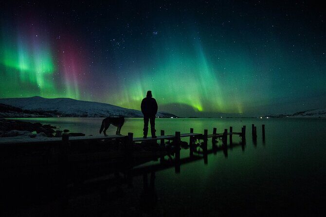 Northern Lights Big Bus Chase with Free Photos - Warmth, WiFi, and Comfort Between Stops