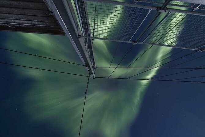 Northern Lights Big Bus Chase with Free Photos - The Photo Chase: Snap Your Own, Then Get the Ones You Want